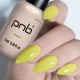 Гел лак PNB 8 мл 034